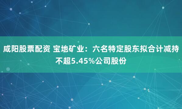 咸阳股票配资 宝地矿业：六名特定股东拟合计减持不超5.45%公司股份