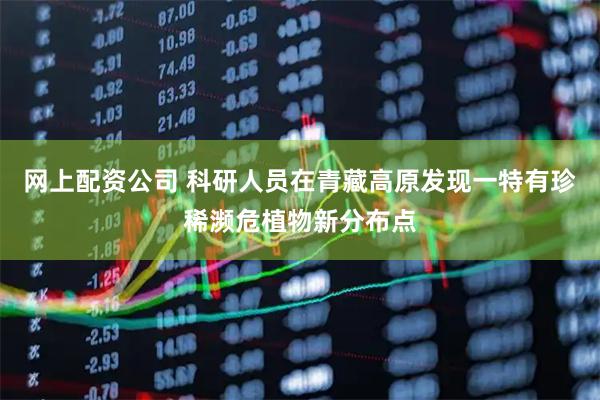 网上配资公司 科研人员在青藏高原发现一特有珍稀濒危植物新分布点